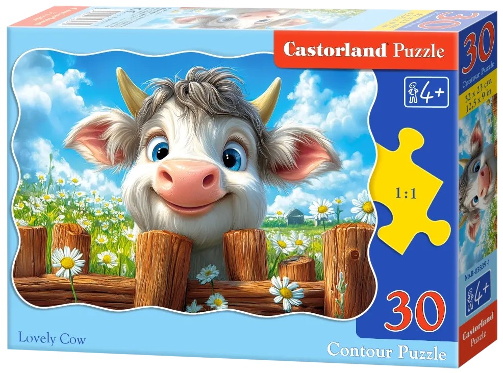 Aceasta este imaginea corespunzatoare acestui obiect