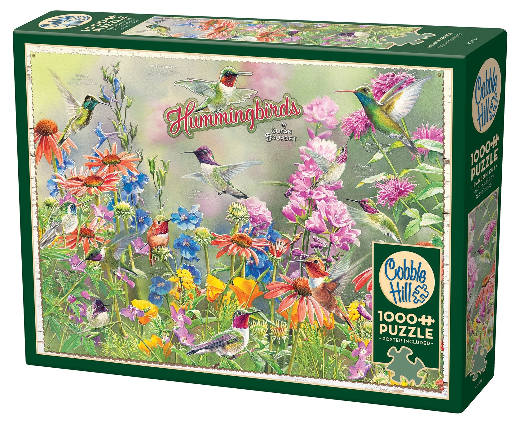 Puzzle Cobble Hill din 1000 piese - Colibri