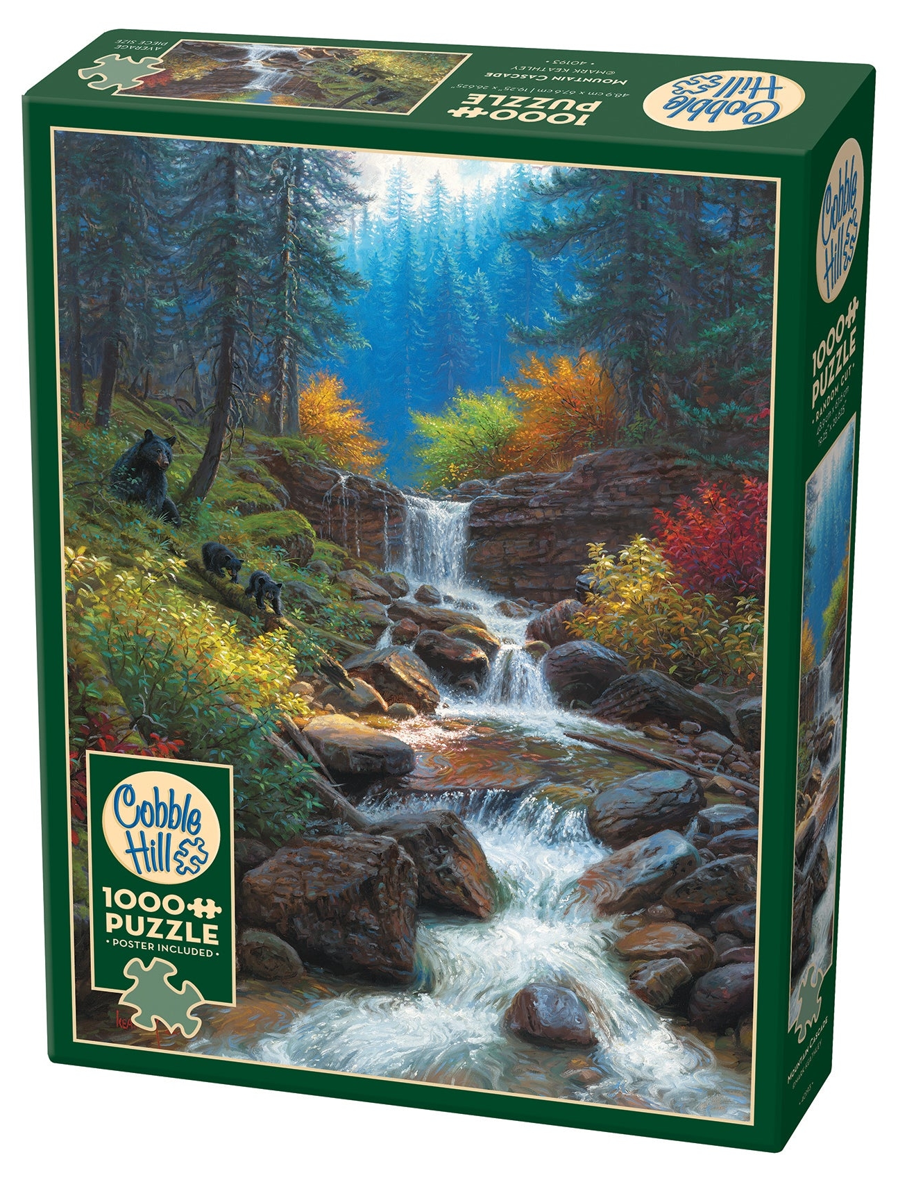 Puzzle Cobble Hill din 1000 piese - Cascadă de munte