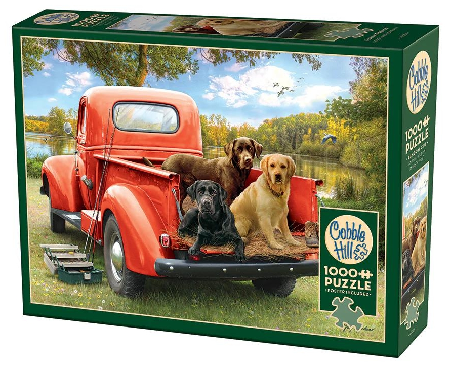 Puzzle Cobble Hill din 1000 piese - Prieteni pescari