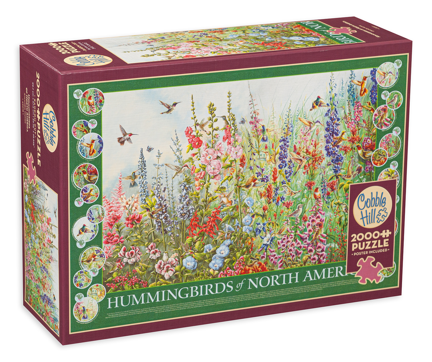 Puzzle Cobble Hill din 2000 de piese - Colibri nord-americani