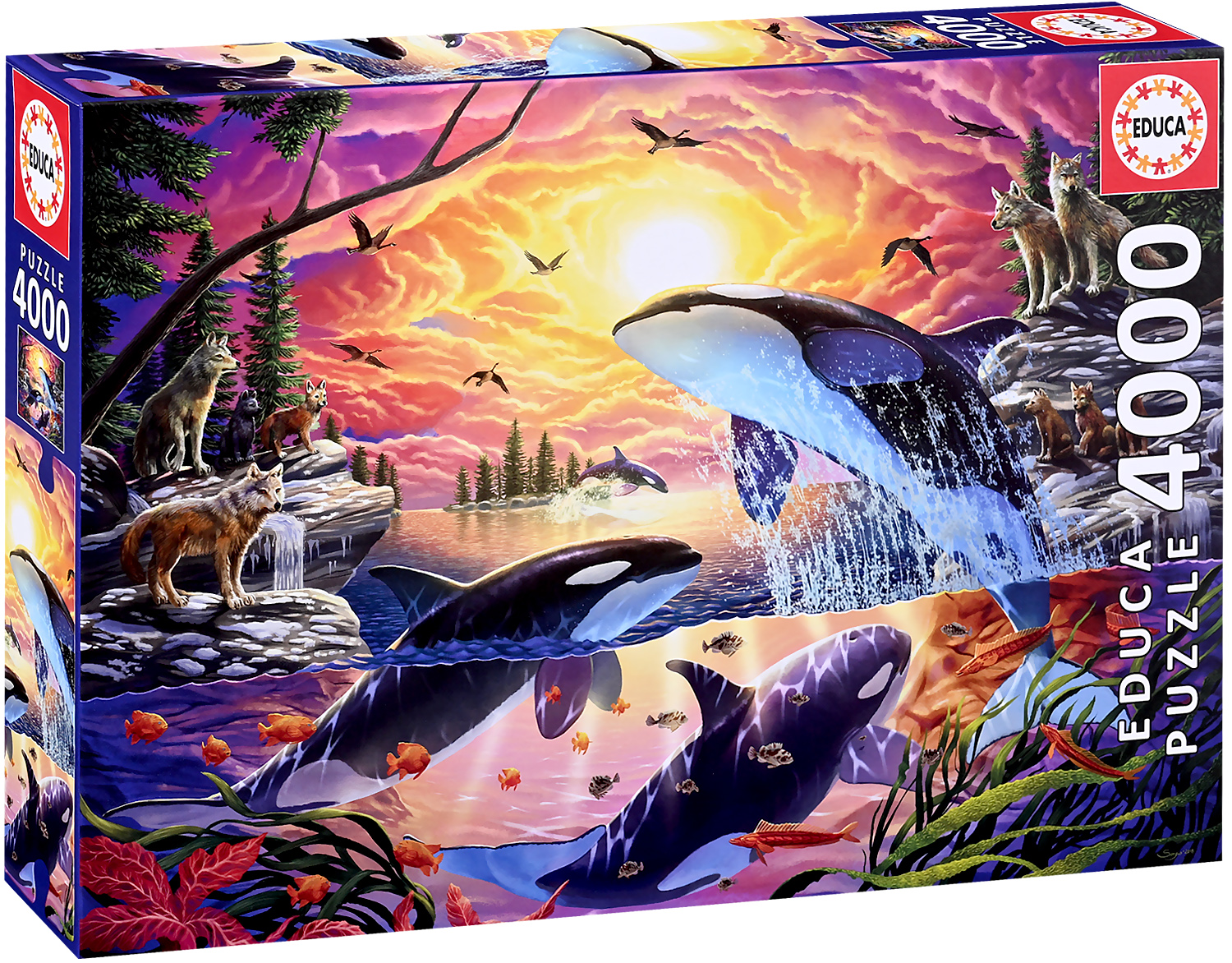 Puzzle Educa din 4000 piese - Balene ucigașe și lupi