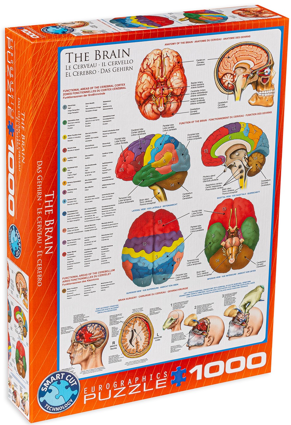 Puzzle Eurographics din 1000 de piese - Corpul uman, Creier