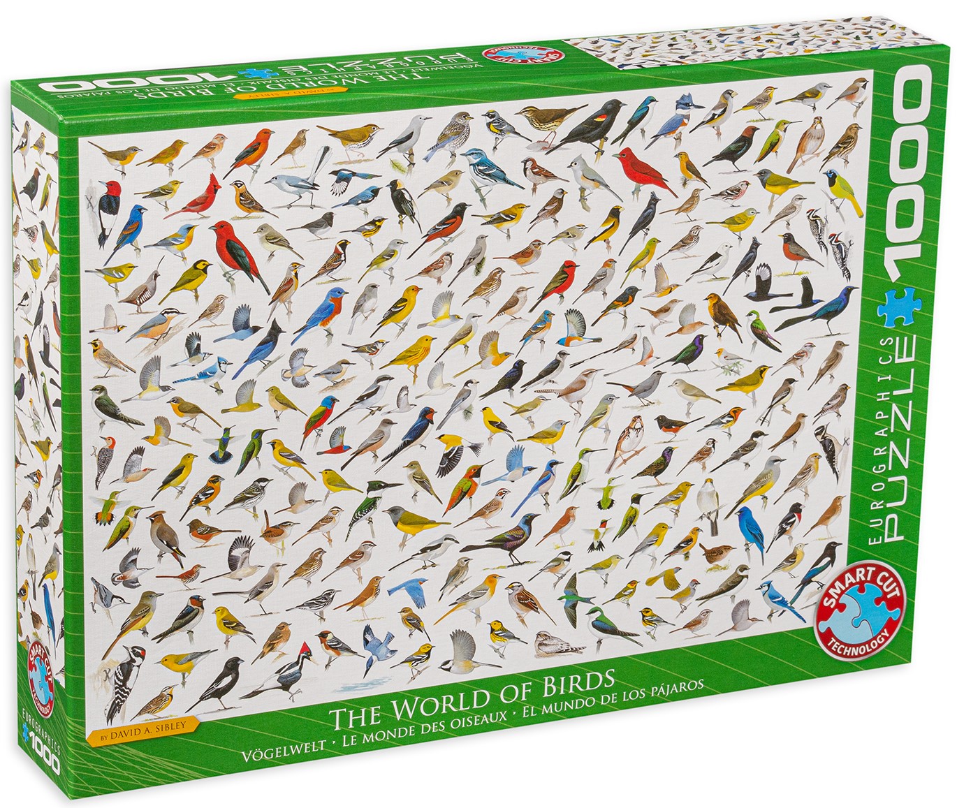 Puzzle Eurographics din 1000 de piese - Colaj cu pasari