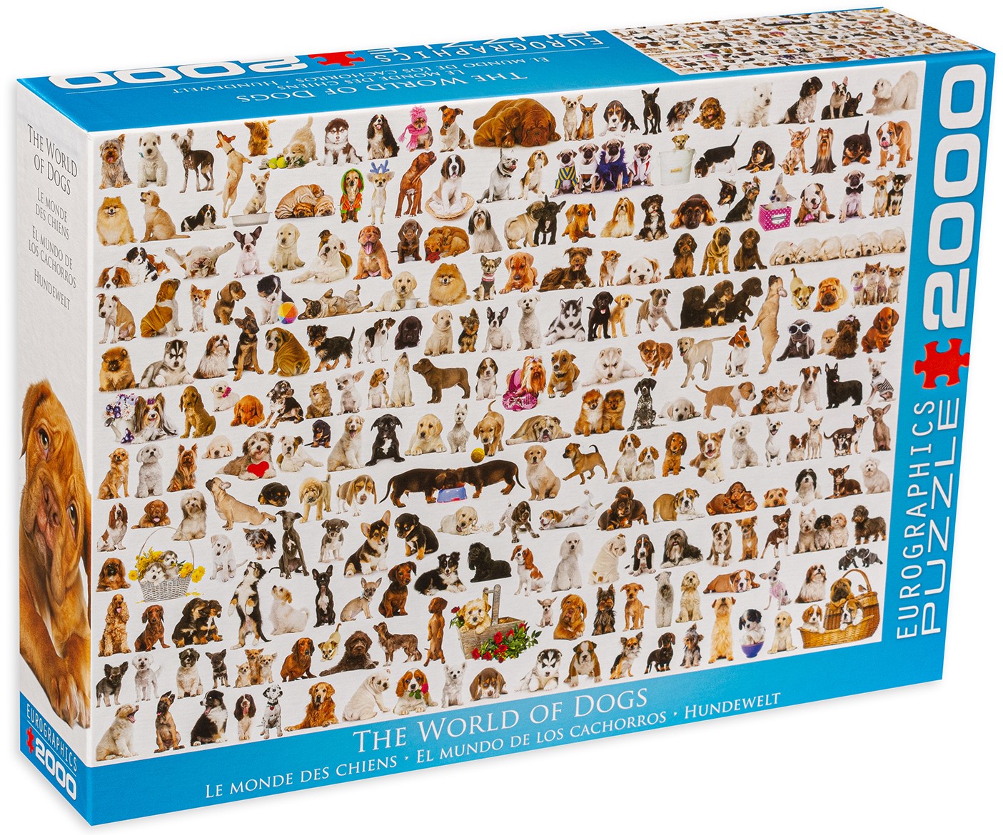 Puzzle Eurographics din 2000 de piese - Lumea cateilor