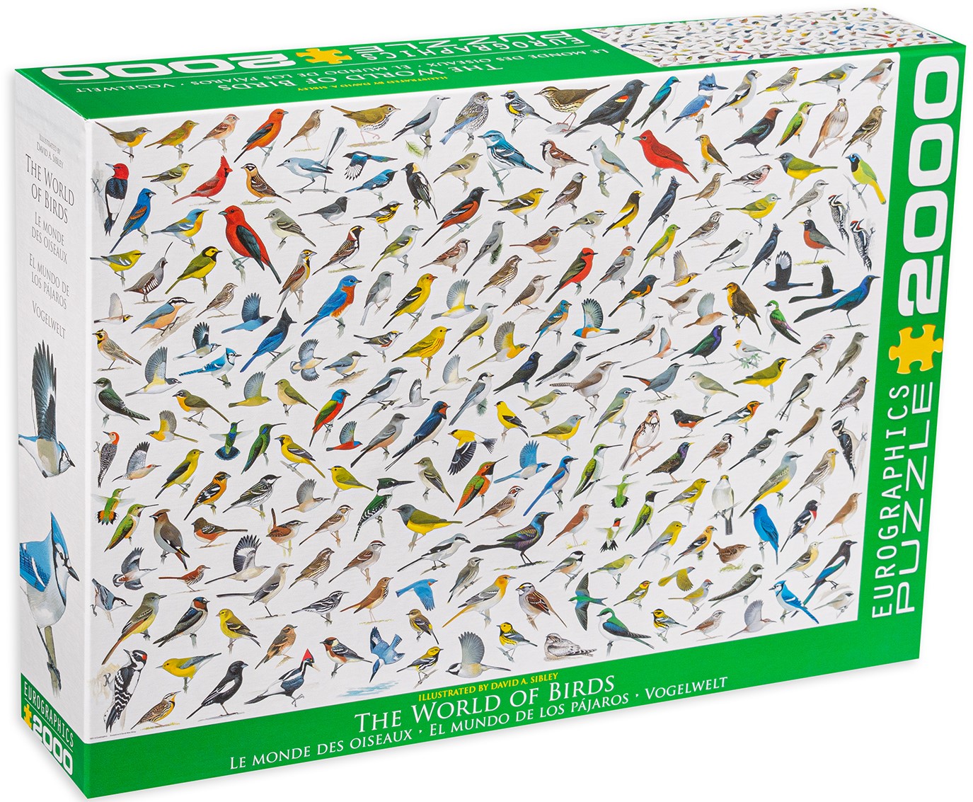 Puzzle Eurographics din 2000 de piese - Lumea pasarilor, David Sibley
