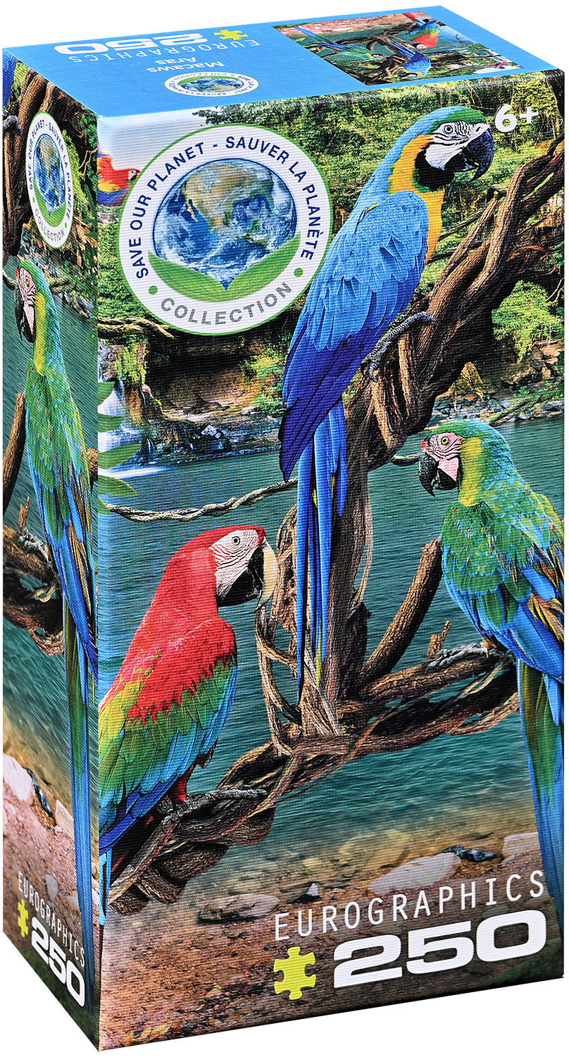 Puzzle Eurographics din 250 de piese - Papagali Ara