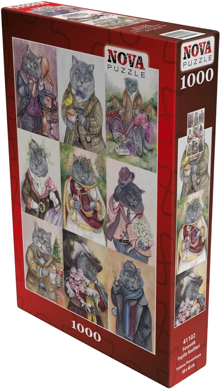 Puzzle Nova puzzle din 1000 piese - Pisici britanice