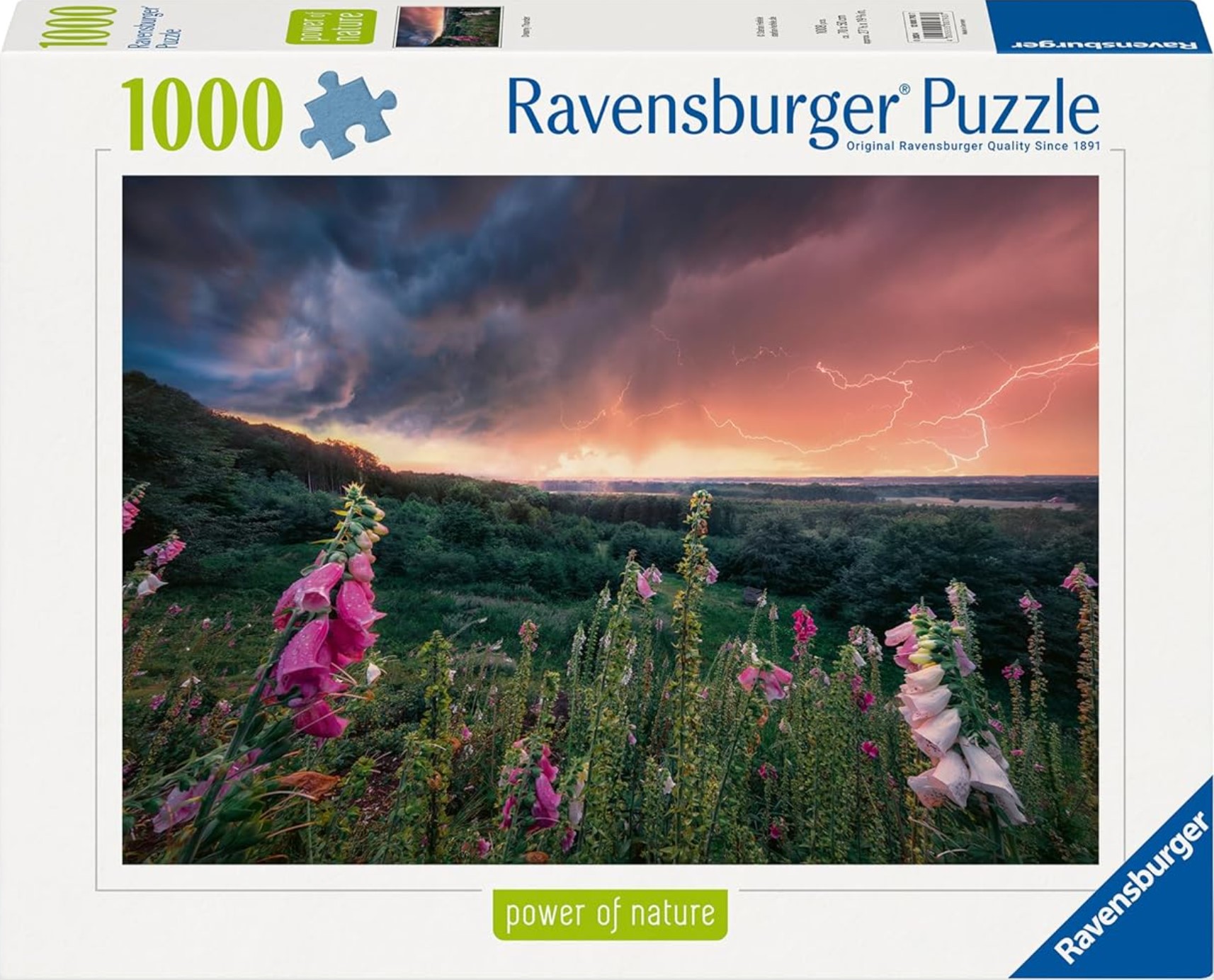 Puzzle Ravensburger din 1000 piese - Vine o furtună