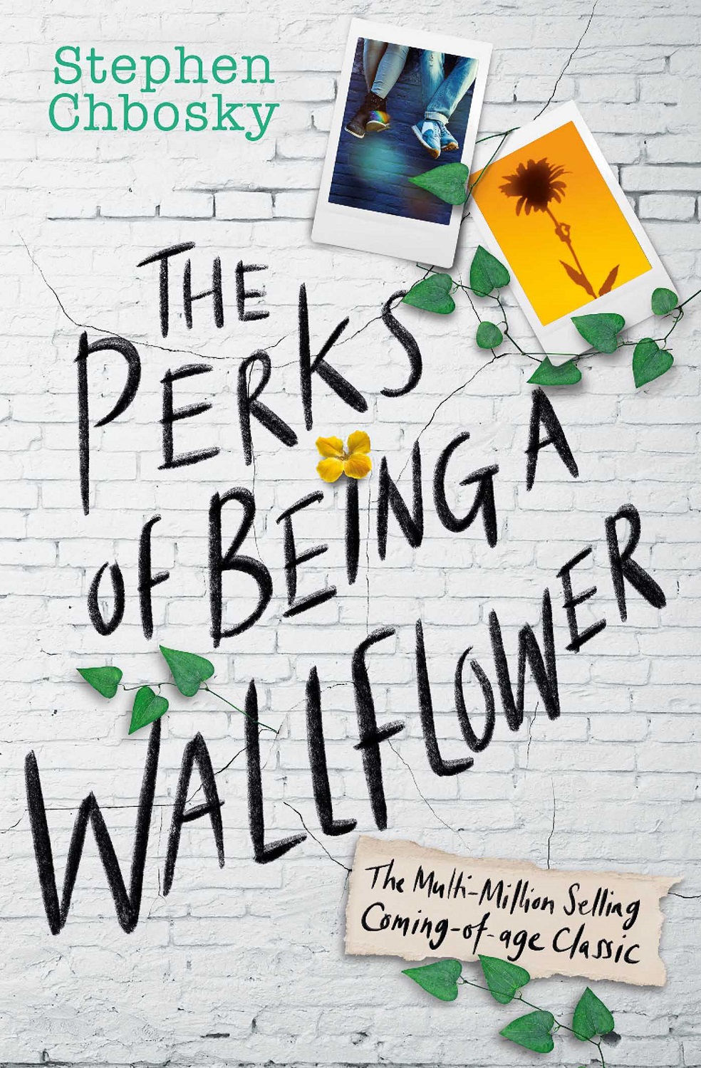 Perks of Being a Wallflower (YA Edition)