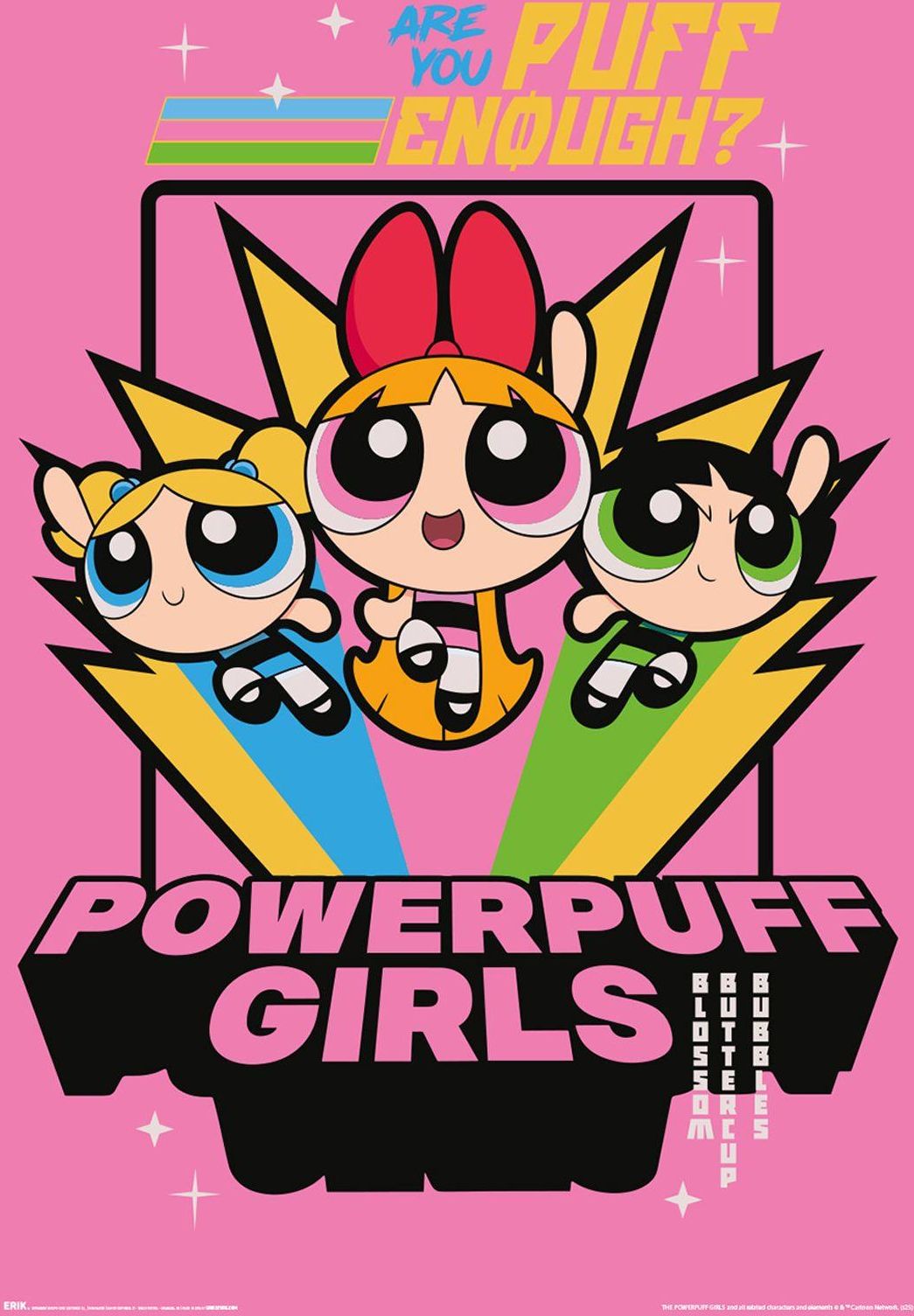 Poster Erik Animation: The Powerpuff Girls - The Powerpuff Girls