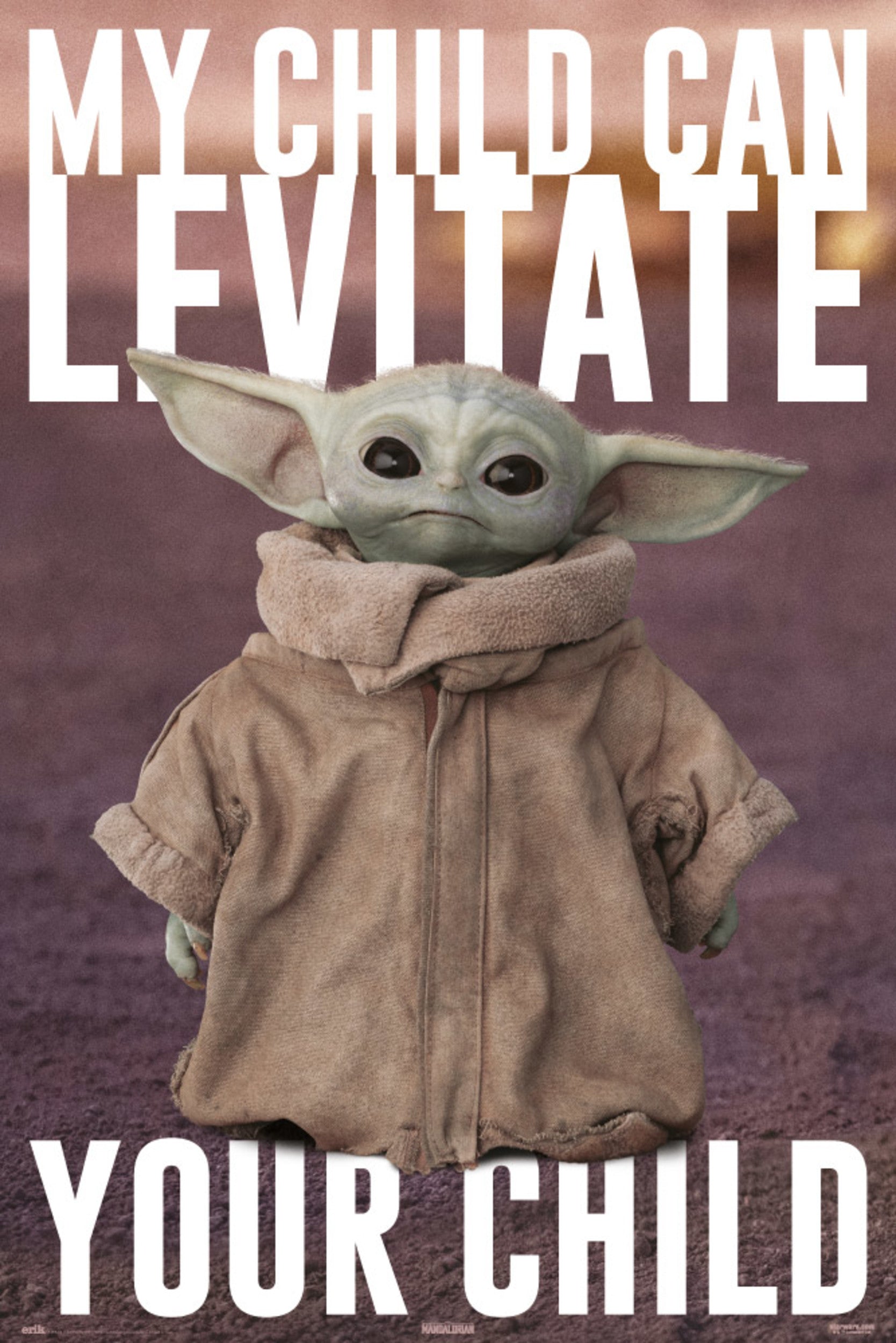 Poster Erik Television: The Mandalorian - The Child
