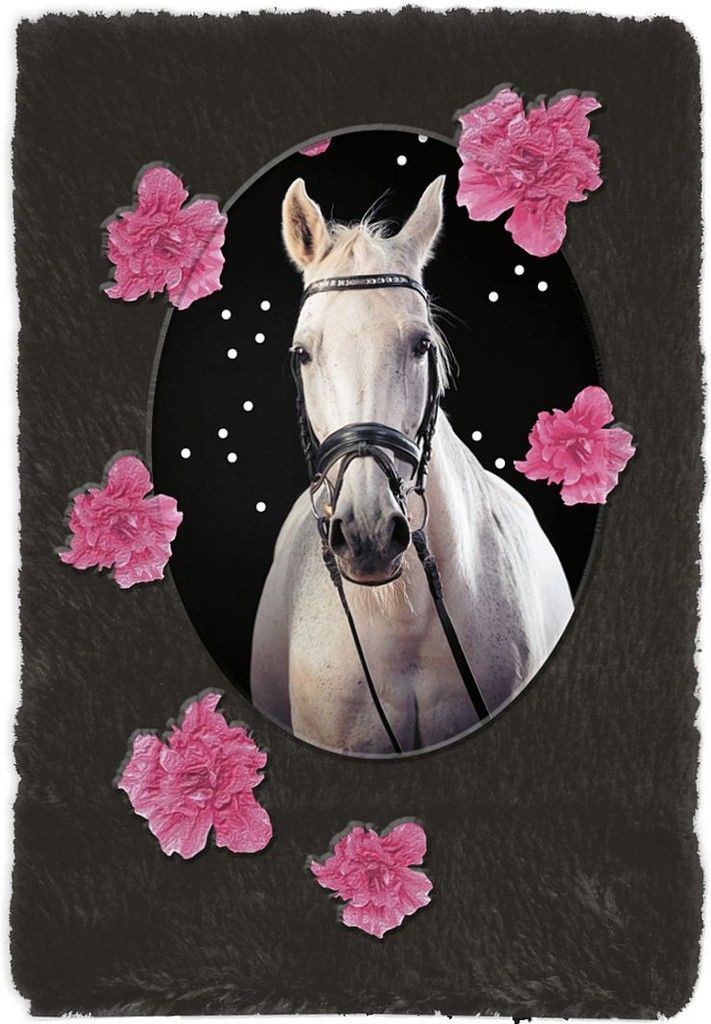 Jurnal de plus Paso Horse, A5, 80 pagini