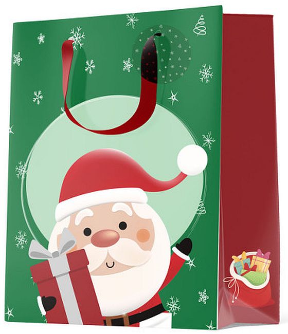 Punga cadou S. Cool - Santa Claus, L