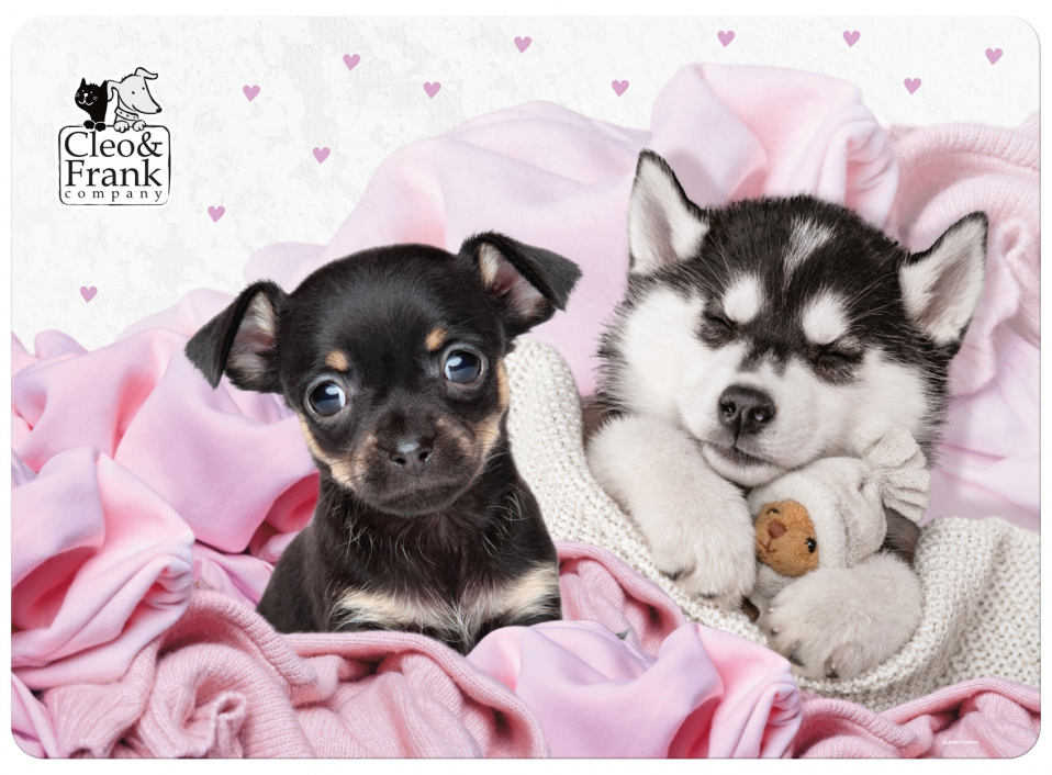 Covoraș de birou Derform Cleo&amp;Frank 38 - Dogs, laminat