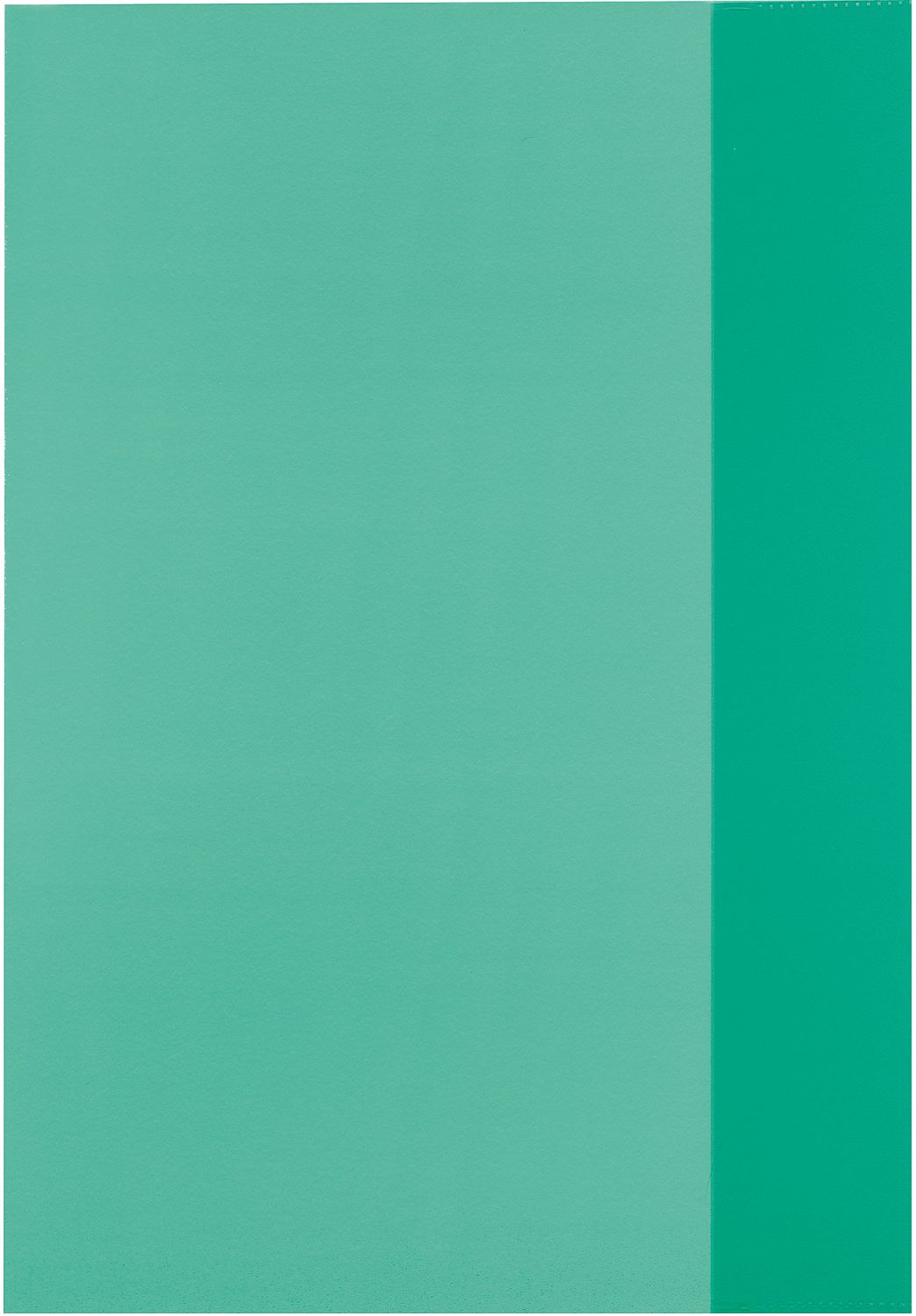 Copertă pentru caiete Herlitz - A5, verde transparent