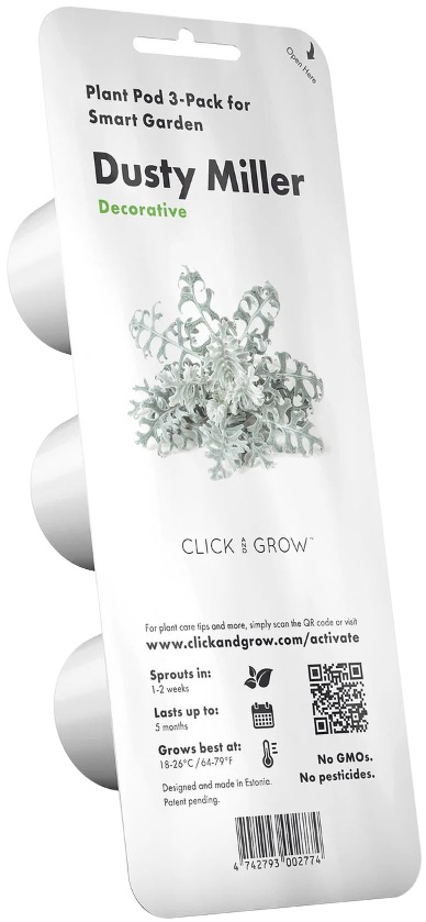 Semințe Click and Grow - Senecio bicolor, 3 rezerve