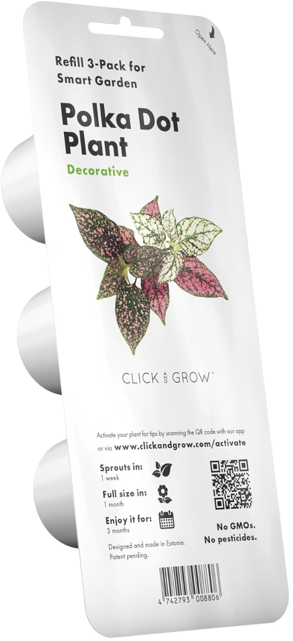 Semințe Click and Grow - Polka Dot plant, 3 rezerve