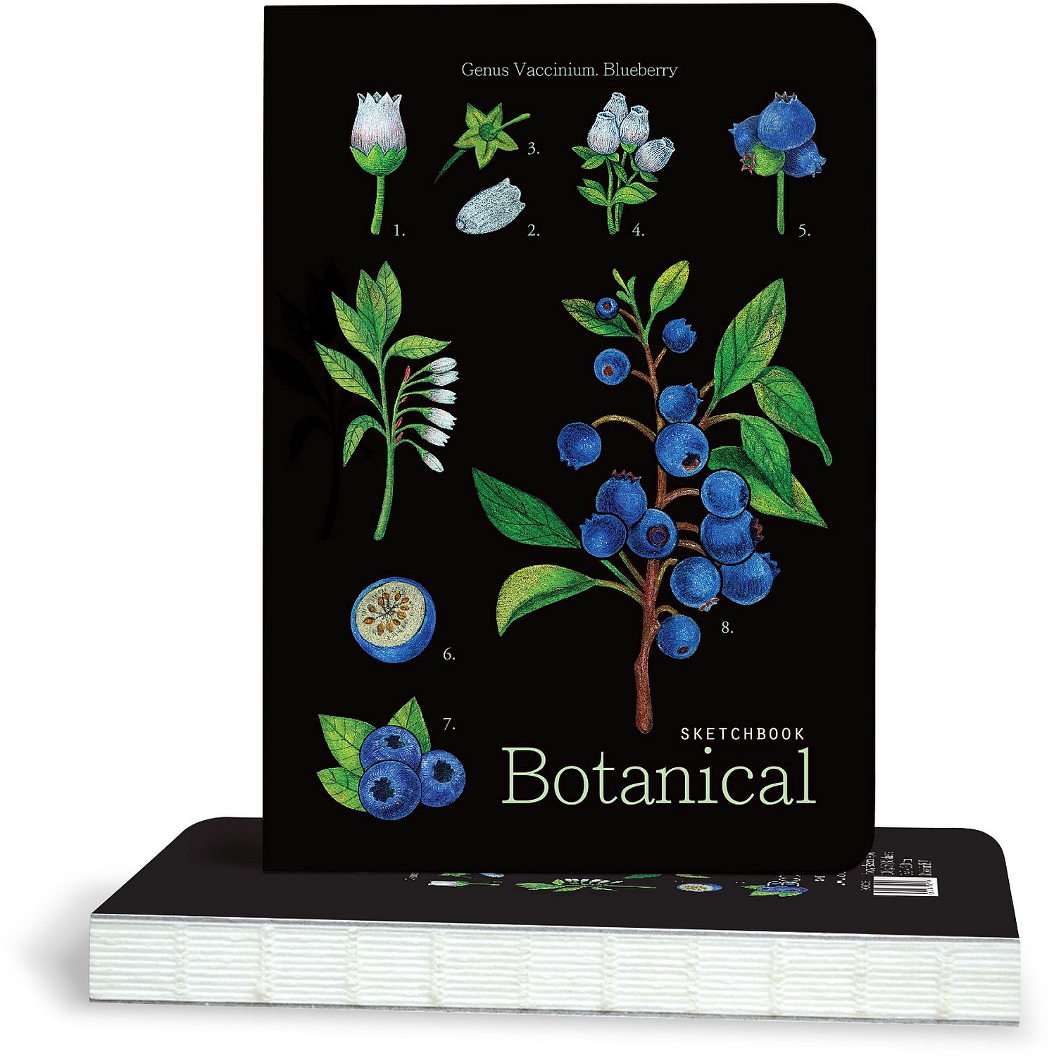 Caiet de schițe Drasca Botanical - Blueberry, 100 g, 80 foi