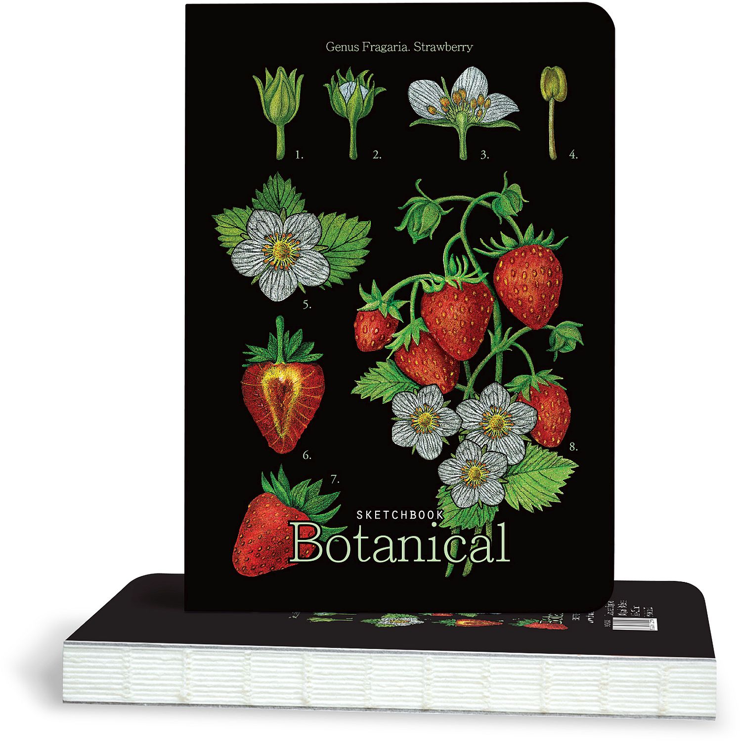 Caiet de schițe Drasca Botanical - Strawberry, 100 g, 80 foi