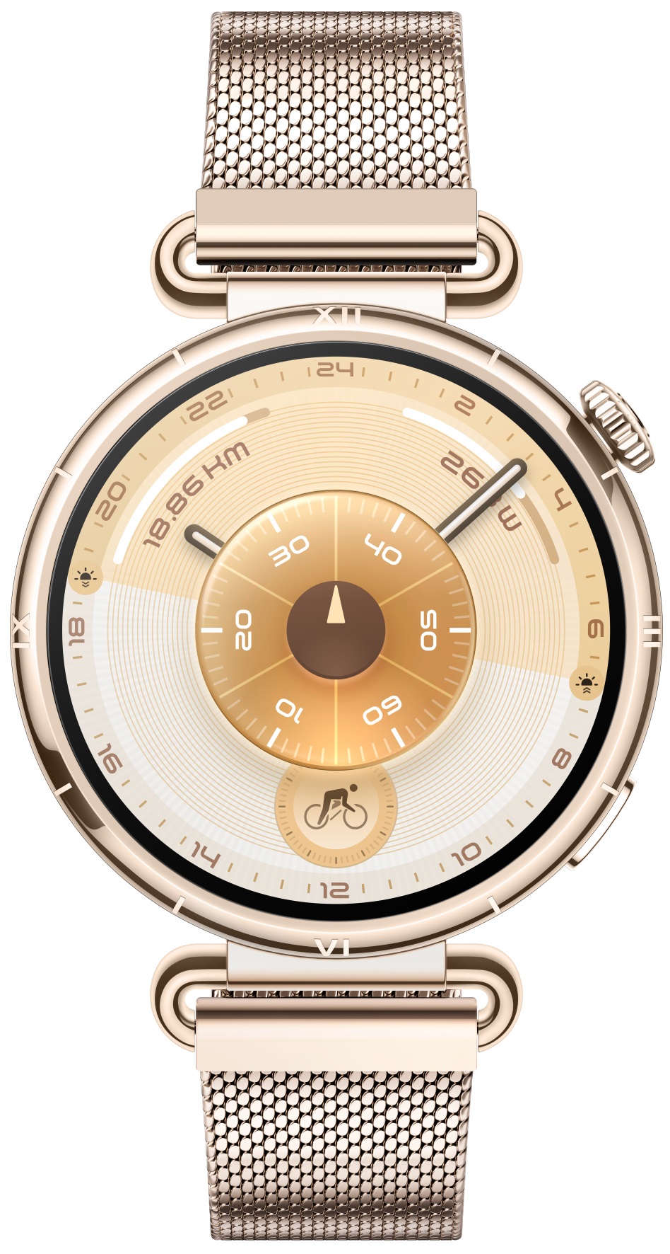 Ceas inteligent  Huawei - Watch GT6, 1.32'', 41 mm, Millanese