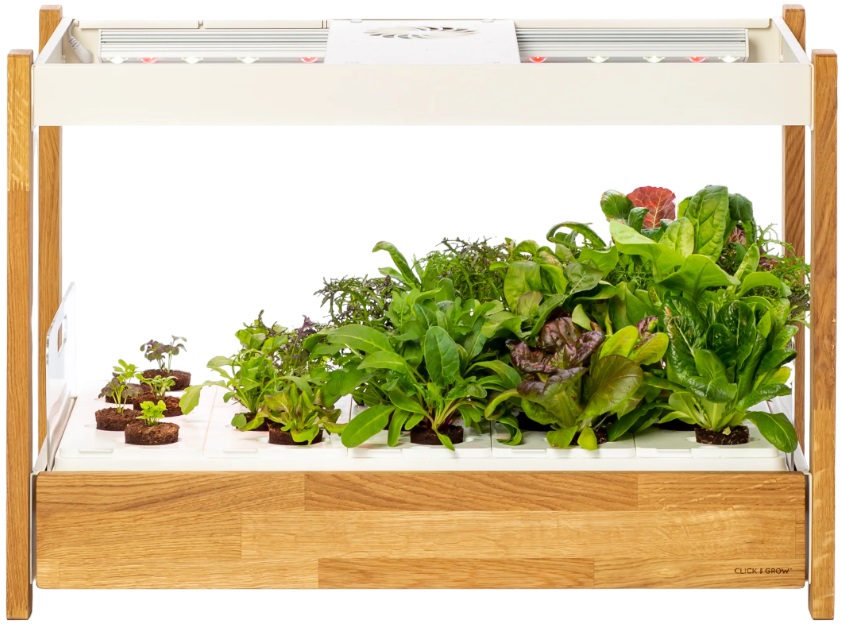 Smart ghiveci Click and Grow - Smart Garden 25, alb