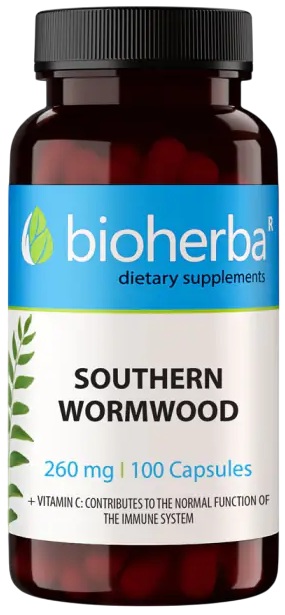 Southern Wormwood, 260 mg, 100 capsule, Bioherba