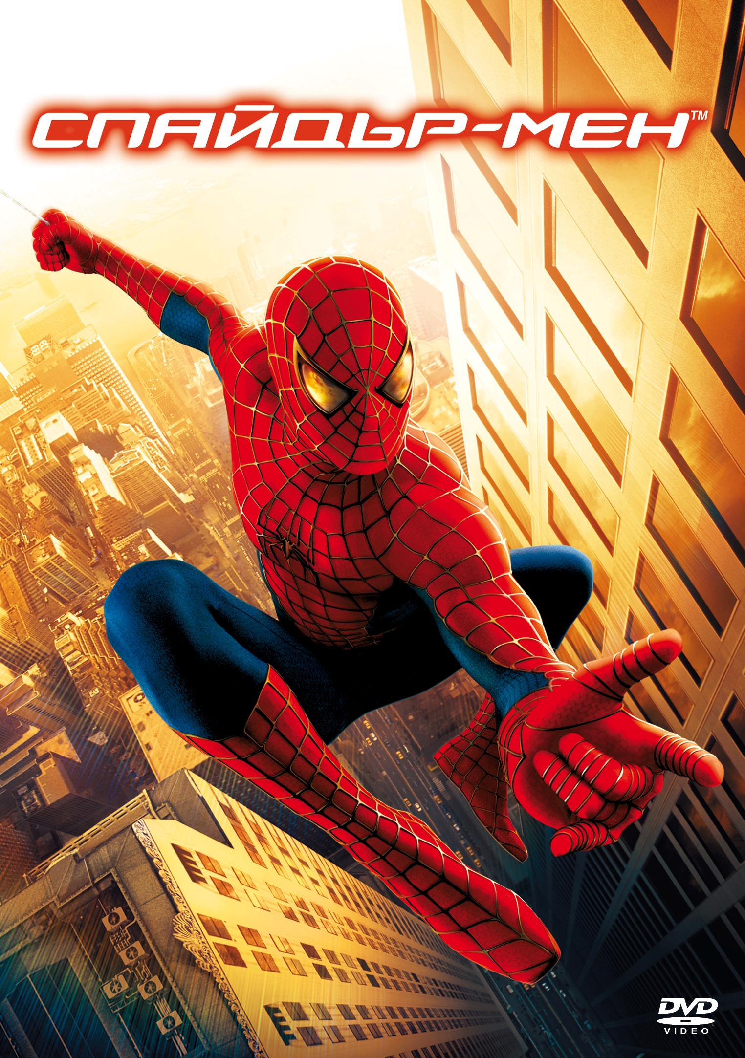 Spider-Man (DVD) | Ozone.ro