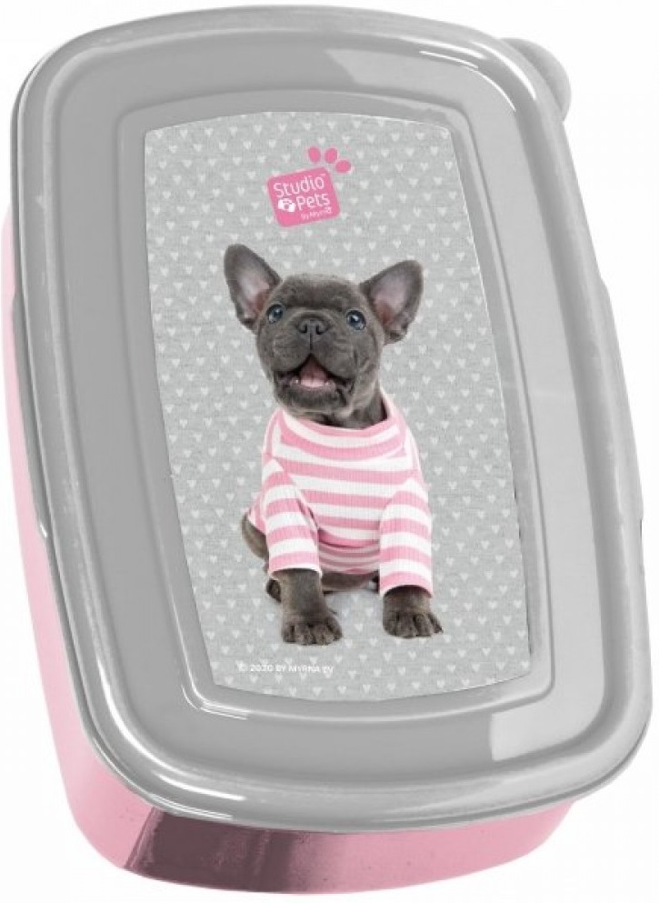 Cutie pentru mâncare Paso - Studio pets, 750 ml
