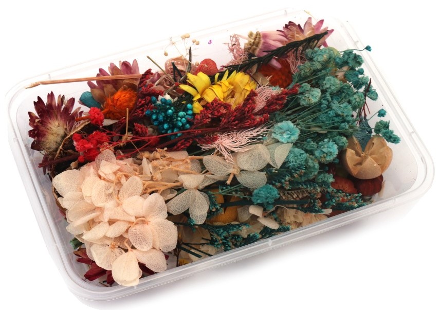 Flori naturale uscate pentru decor Em Art - Mix în cutie