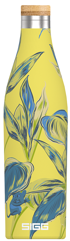 Termos Sigg Meridian Sumatra - Maki, 0.5 l