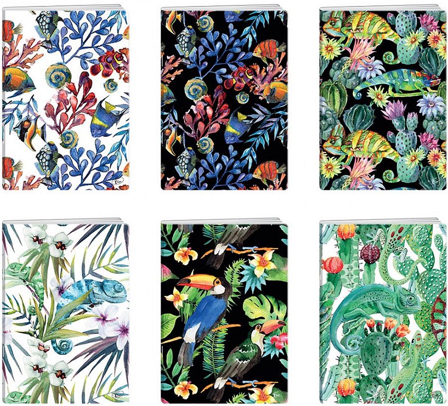 Caiet Elisa - Tropical, A5,62 coli, rânduri largi, sortiment