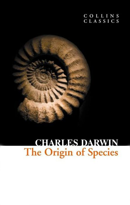 Origin of Species - imagine 2