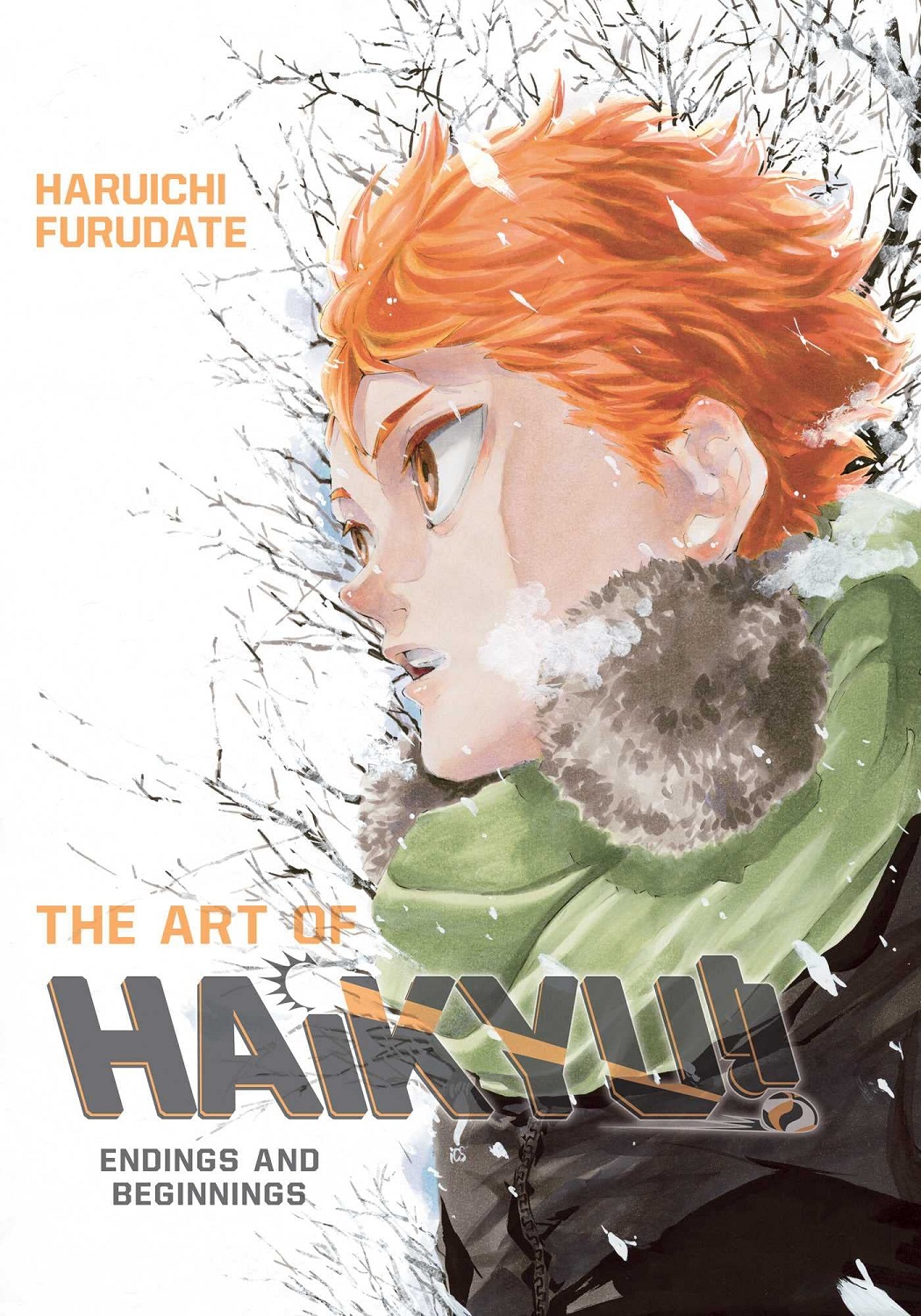 The Art of Haikyu
