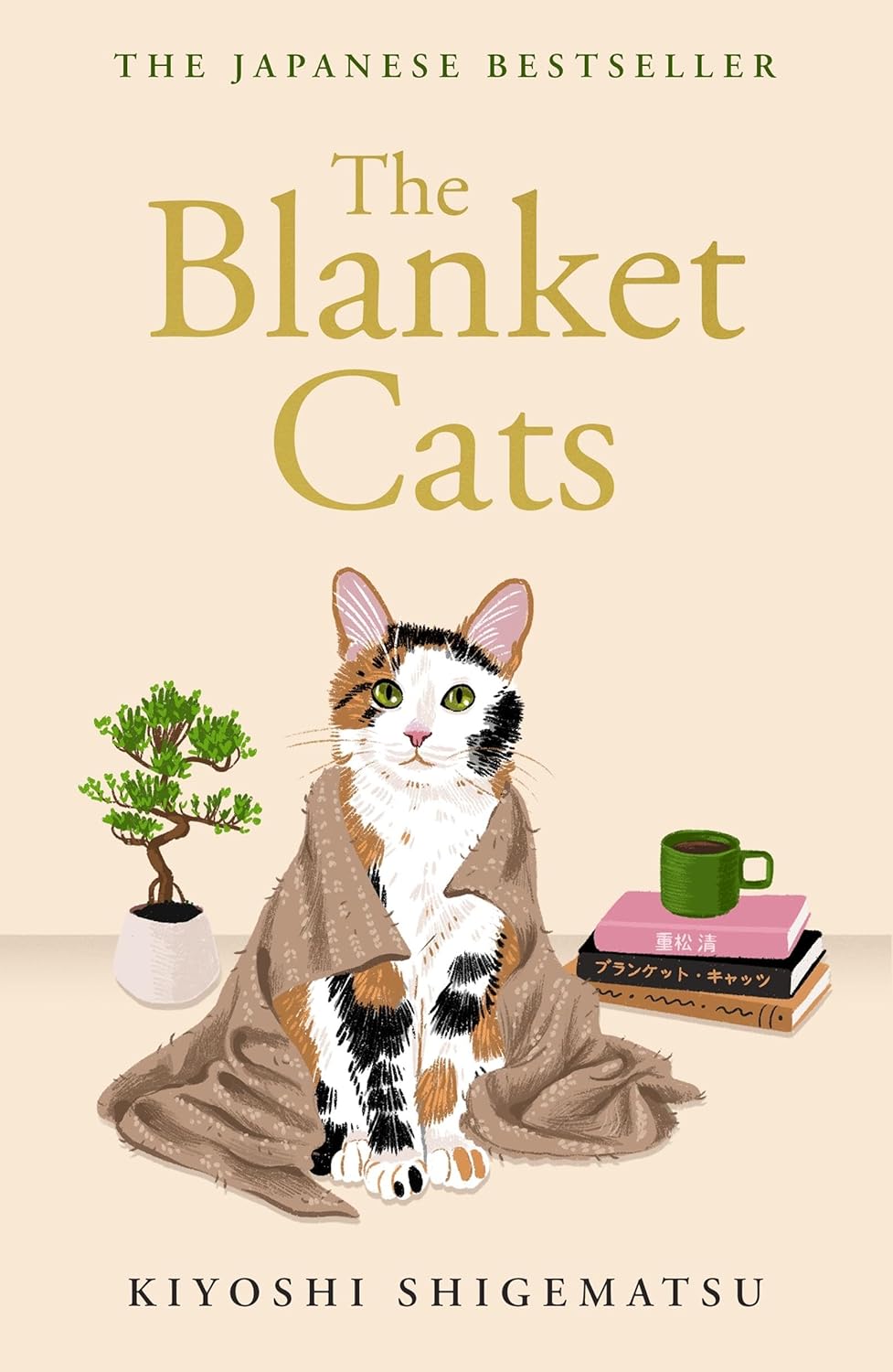 The Blanket Cats (New Edition)