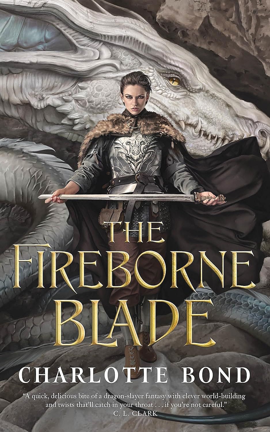 The Fireborne Blade - Charlotte Bond - imagine 2