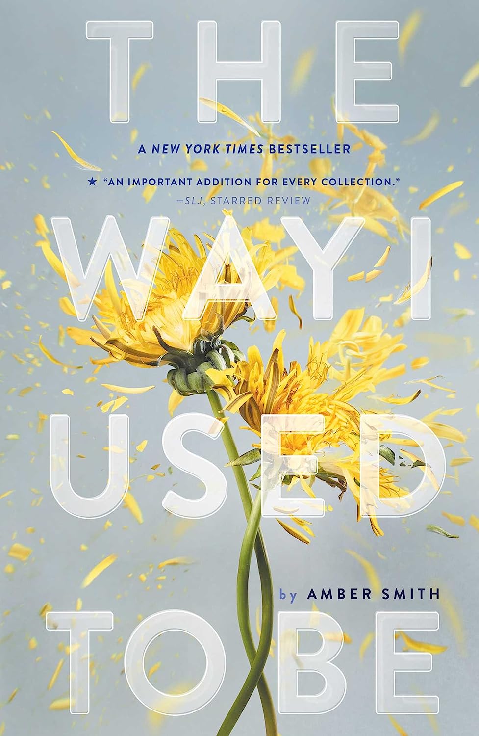 The Way I Used to Be - Amber Smith - imagine 2