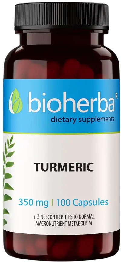 Turmeric, 350 mg, 100 capsule, Bioherba