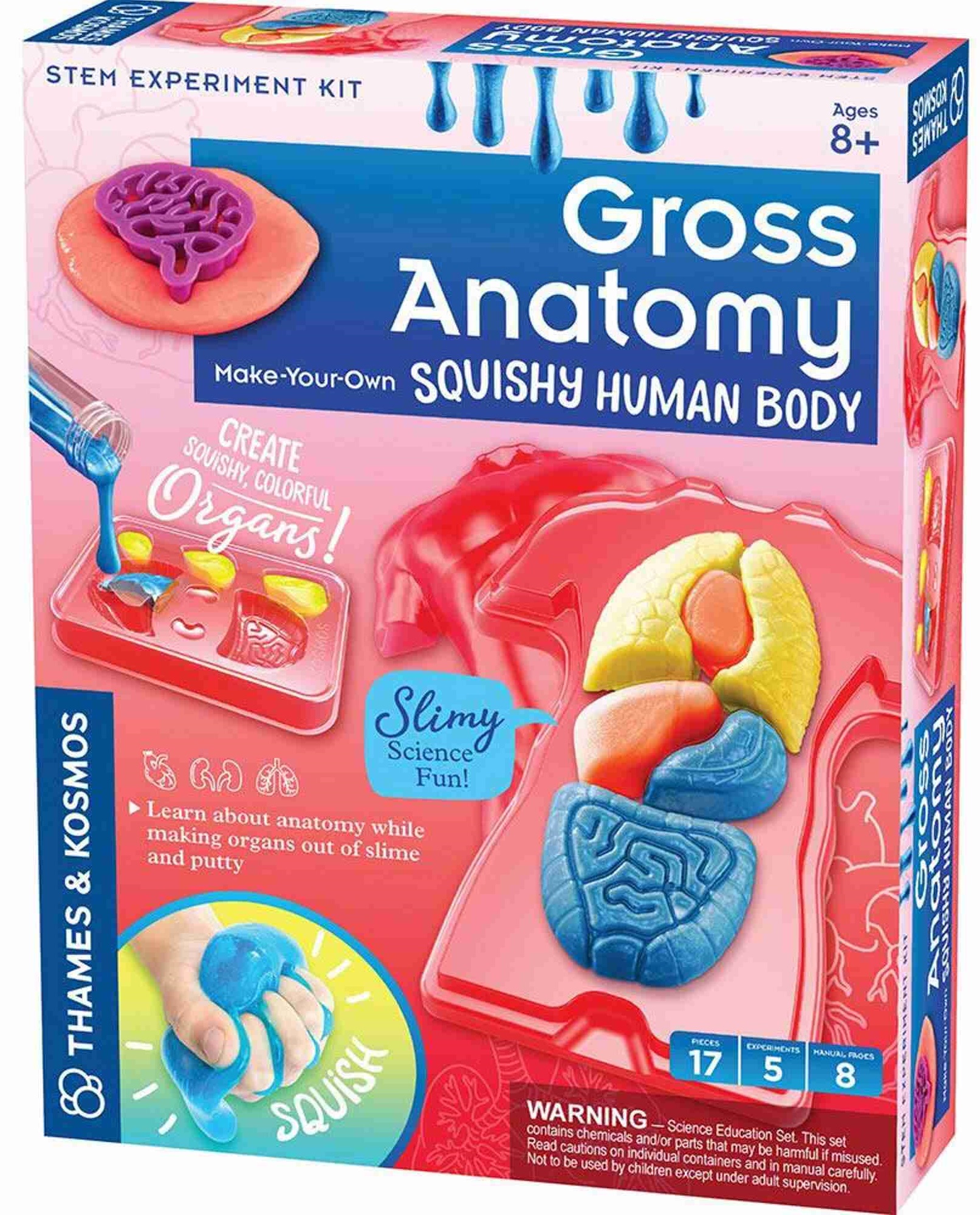 Setul de creație Thames & Kosmos - Creează-ți propriile organe din plastilină