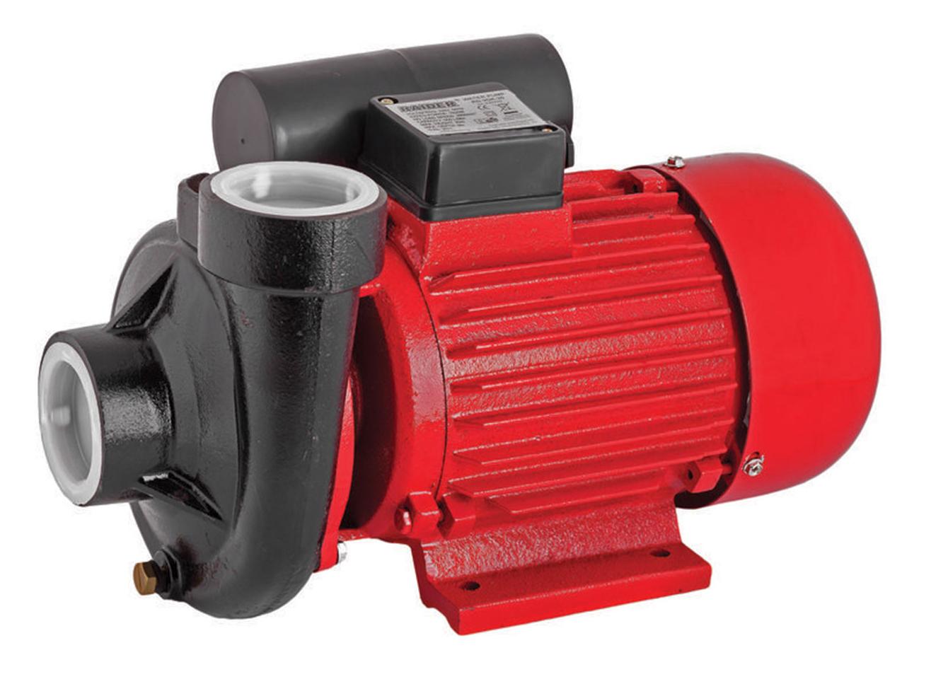 Pompa de suprafata RD-2DK20 fonta 2CP 30000 l/h, Raider 070105 - imagine 2
