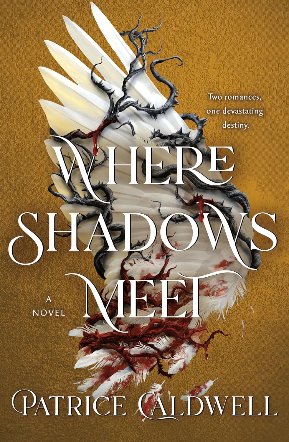 Where Shadows Meet - Patrice Caldwell - imagine 2