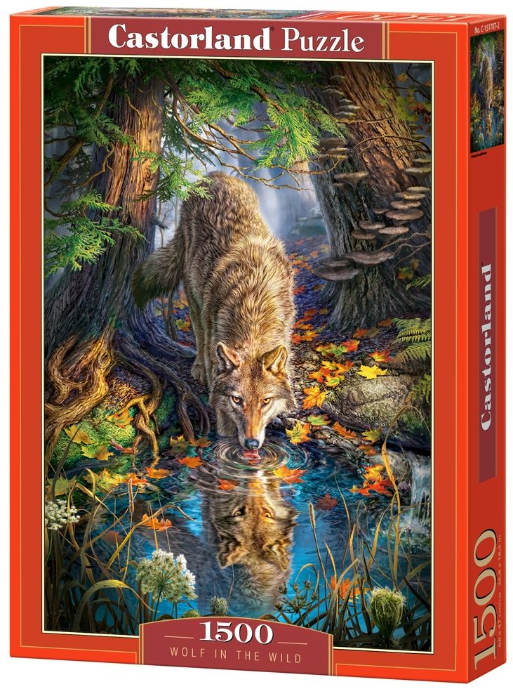 Puzzle Castorland din 1500 de piese - Lup in salbaticie
